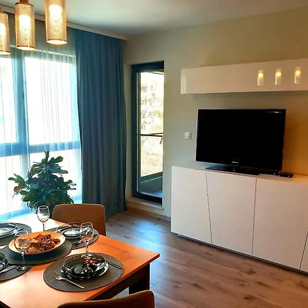 Deluxe Apartment-center Apartment *